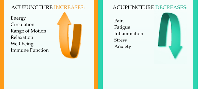 A chart explaining what acupuncture treatment increases and decreases