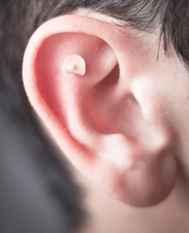 A close up picture of an ear with an 
